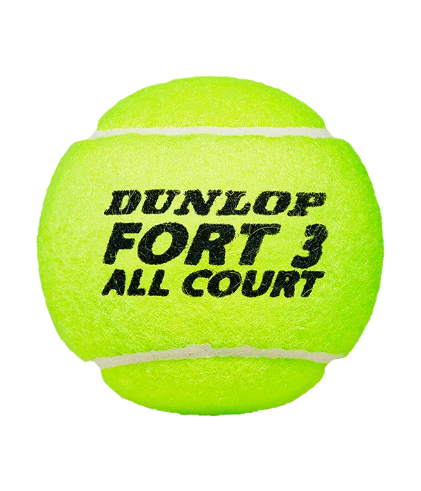 Bote de Balls  Dunlop Fort All Court (x4)