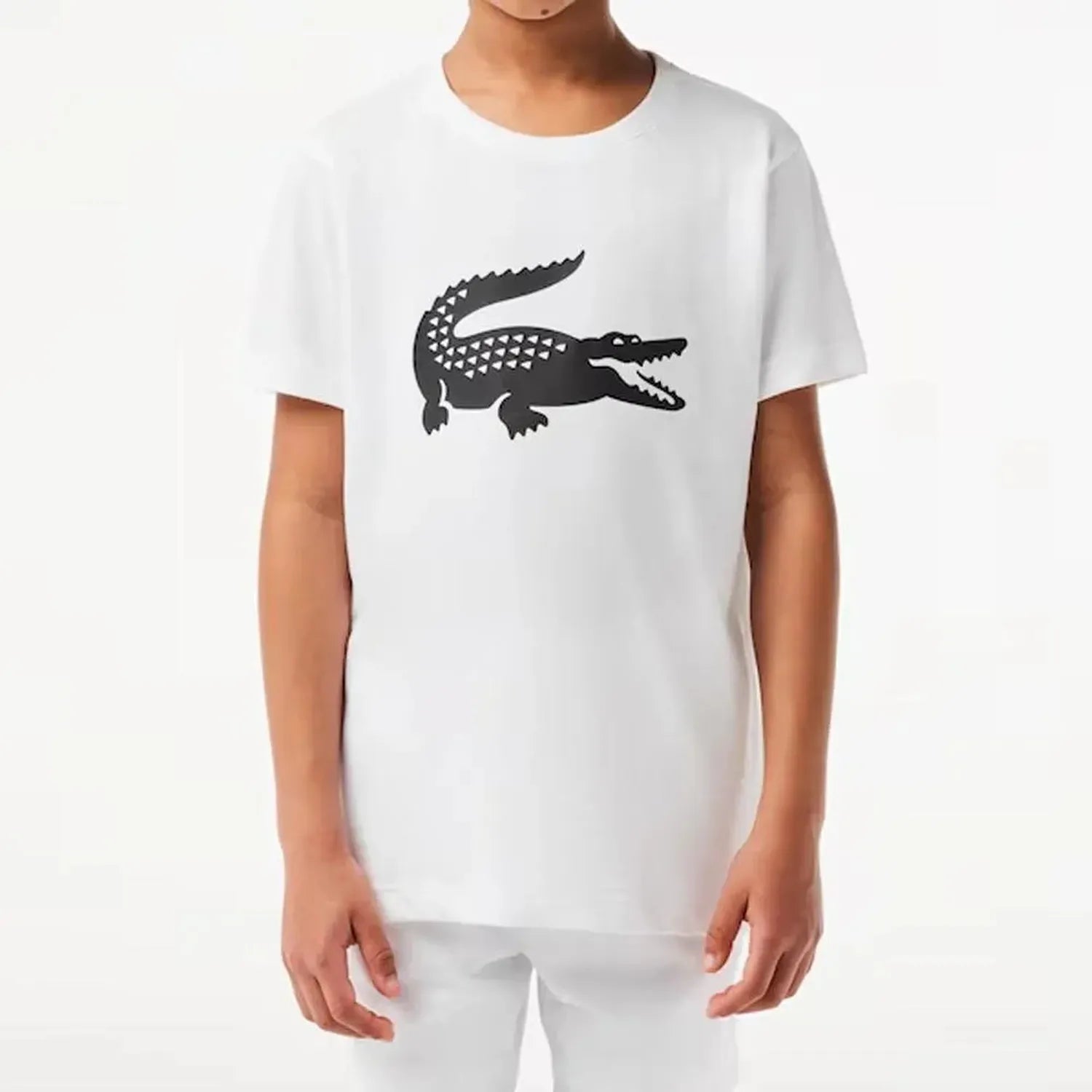 Boys' Oversized Croc Tennis Tee-Apparel-Lacoste-113218-001_BLANC-L-Tennis Express