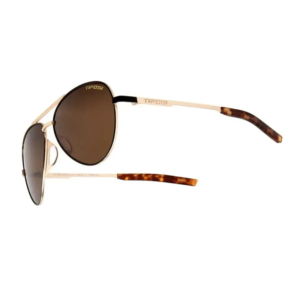 Shwae Sunglasses Midnight Gold and Brown Lenses