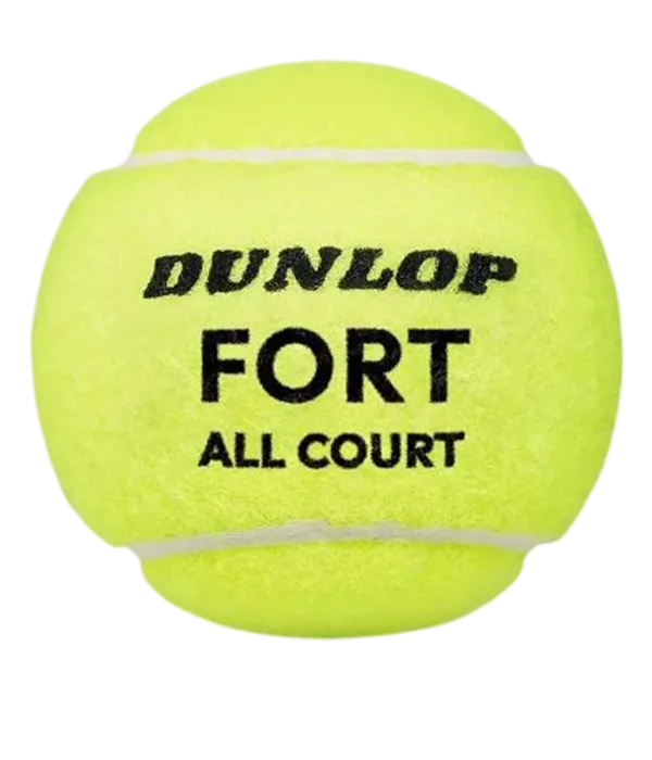 Bote de Balls  Dunlop Fort All Court