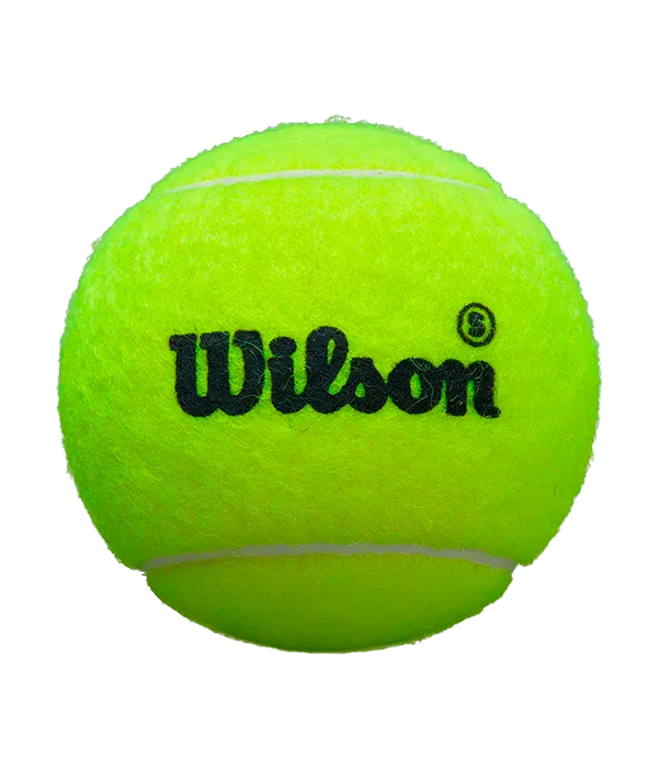 Box Balls  Wilson Padel Premier Speed (Pack x24)