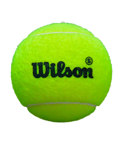 Balls  Wilson Padel Premier Speed (Pack x3)