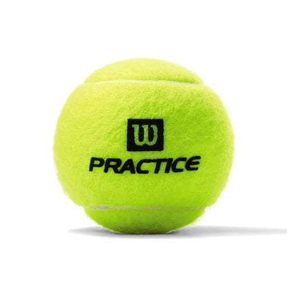 Practice Extra Duty Tennis Ball Case