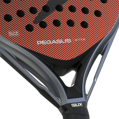 Siux Pegasus Elite 4 2026 Padel Racket